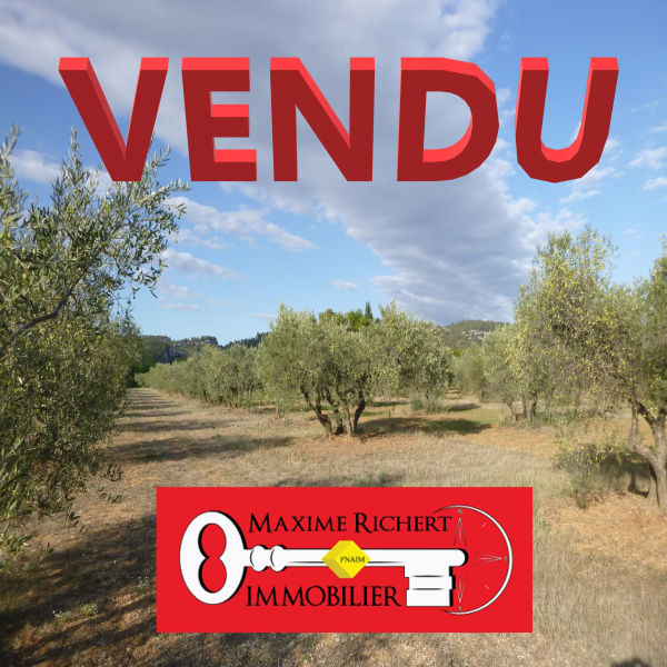Offres de vente Terrain Fontvieille 13990